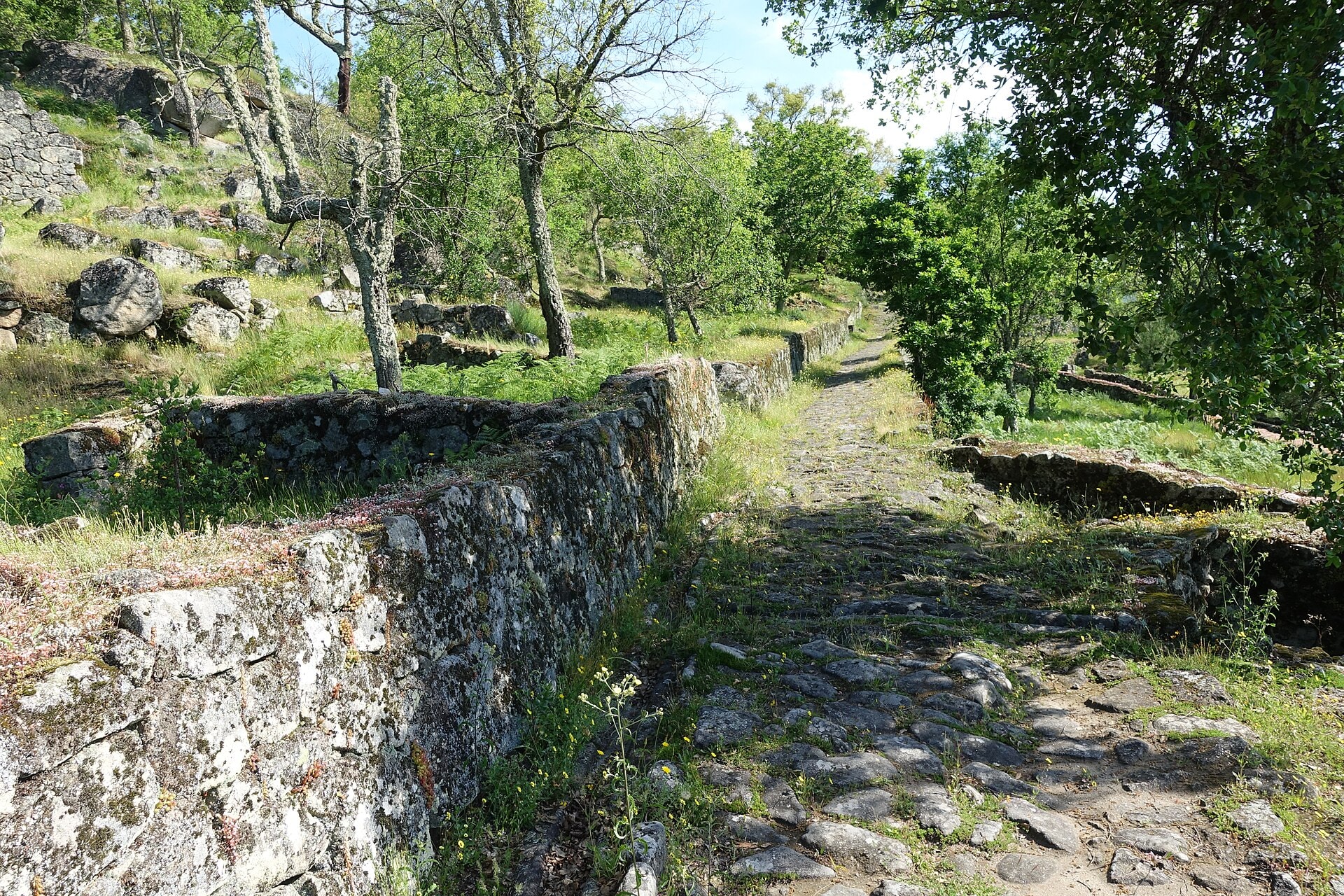 Antigo caminho de pedra na Citânia de Briteiros